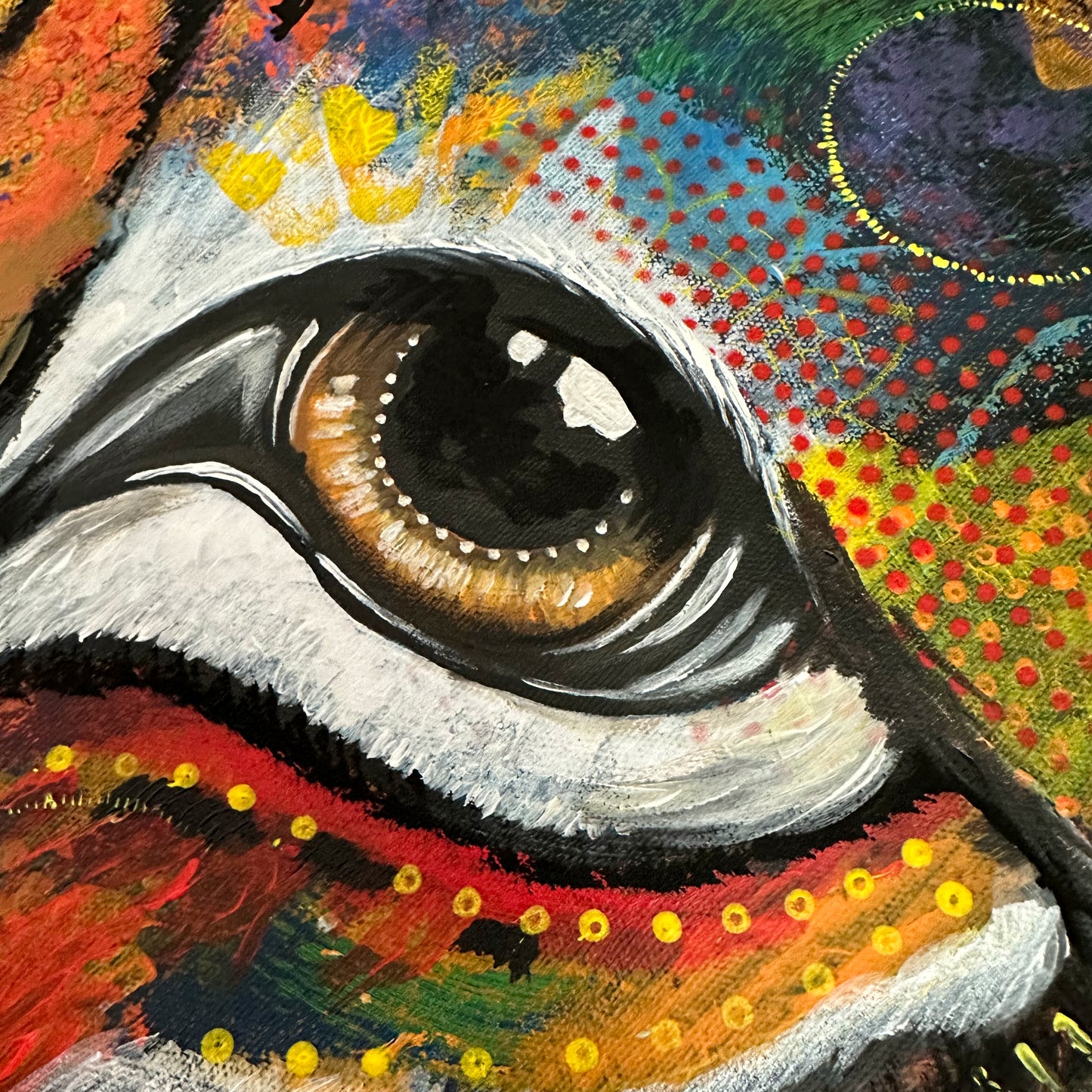 Detail, Auge, Tiger