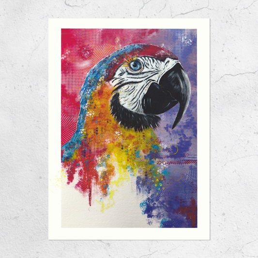Papagei, Print, Abstrakt, Bunt